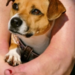 Безопасность программ лояльности казино без депозита