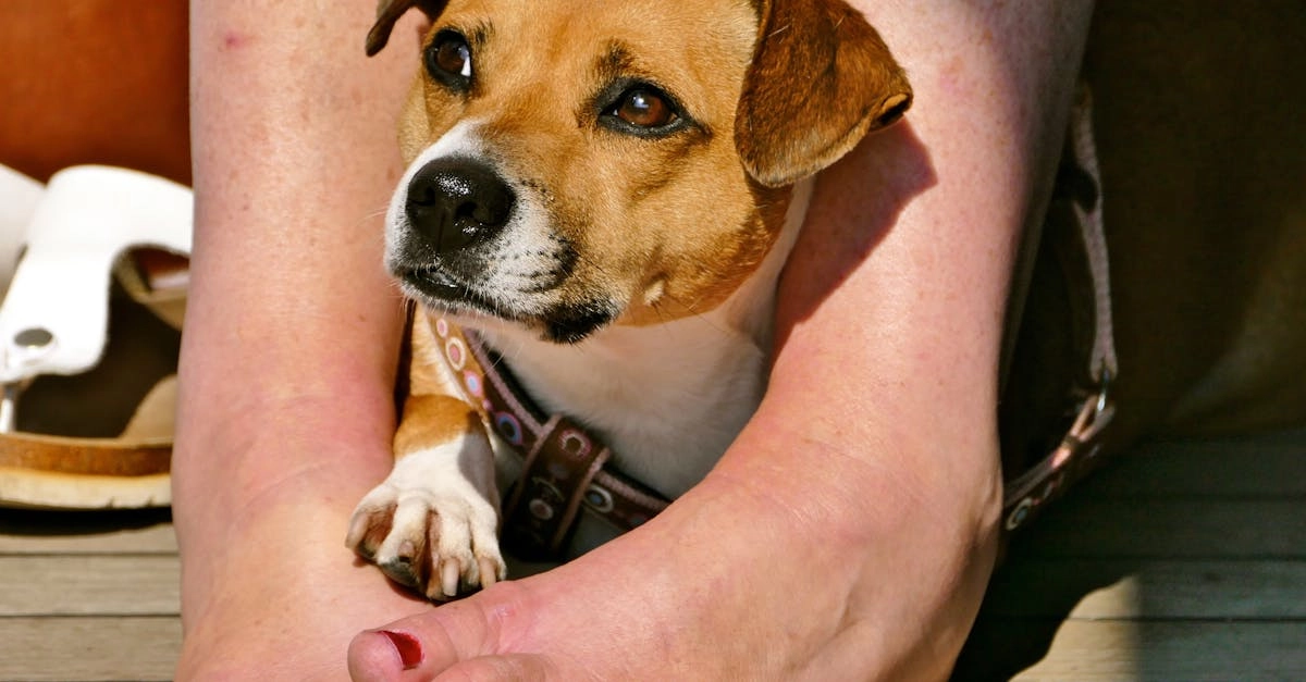 Безопасность программ лояльности казино без депозита